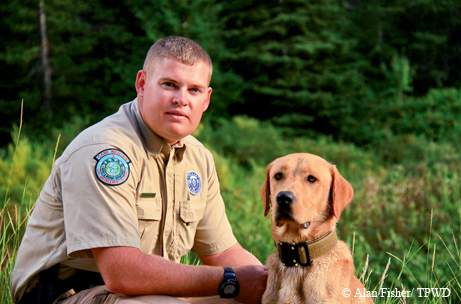 K-9 corps